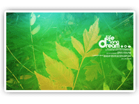 graphic designer freelance